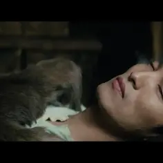 Aga film: Wnikliwa recenzja i głęboka analiza fabuły oraz postaci