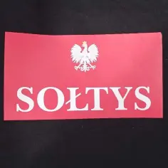 Ile zarabia sołtys? Zaskakujące fakty o wynagrodzeniu w gminie